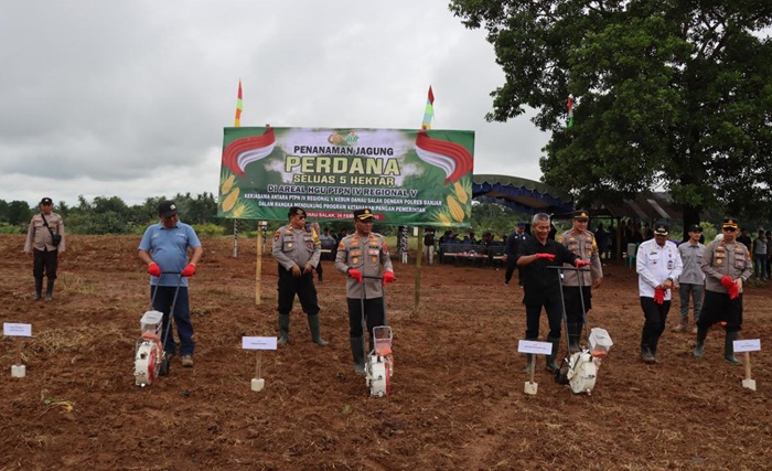 Kolaborasi Dengan Polri, PalmCo Optimalkan Lahan Replanting Sawit Untuk Tanam Jagung